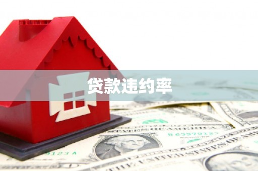 环江贷款违约率