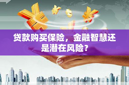 环江贷款购买保险，金融智慧还是潜在风险？