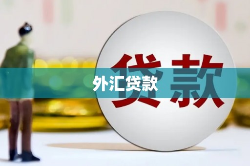 环江外汇贷款