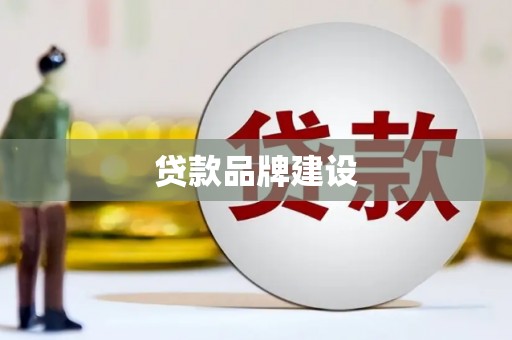 环江贷款品牌建设
