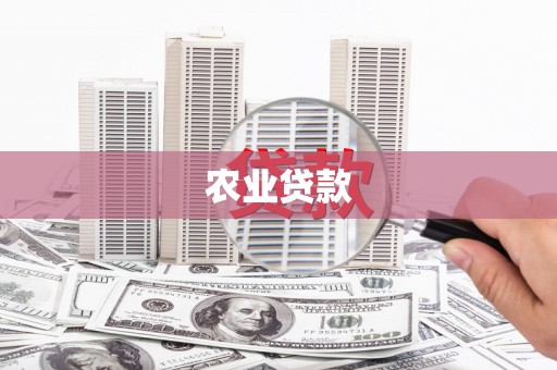 环江农业贷款