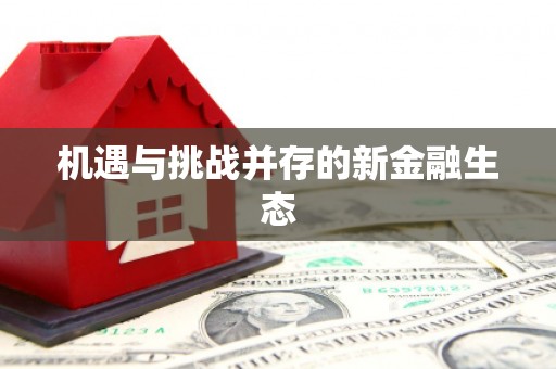 环江机遇与挑战并存的新金融生态