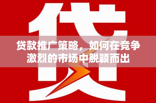 环江贷款推广策略，如何在竞争激烈的市场中脱颖而出