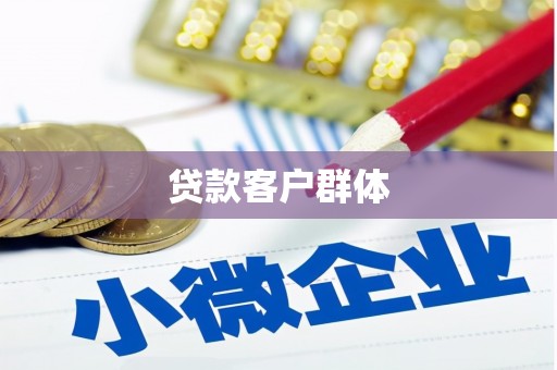 环江贷款客户群体