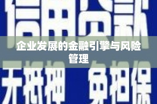 环江企业发展的金融引擎与风险管理