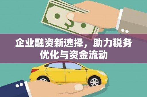 环江企业融资新选择，助力税务优化与资金流动