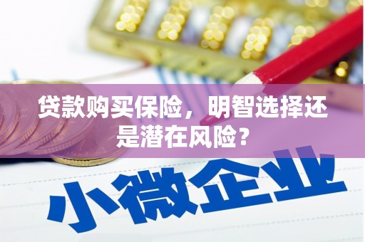 环江贷款购买保险，明智选择还是潜在风险？