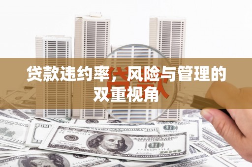 环江贷款违约率，风险与管理的双重视角