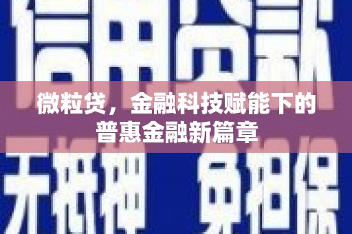 环江微粒贷，金融科技赋能下的普惠金融新篇章