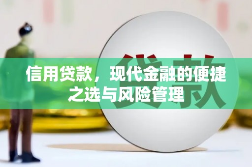 环江信用贷款，现代金融的便捷之选与风险管理