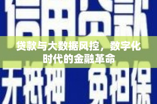 环江贷款与大数据风控，数字化时代的金融革命