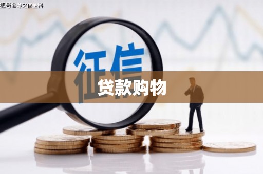 环江贷款购物
