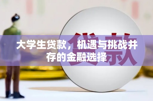 环江大学生贷款，机遇与挑战并存的金融选择