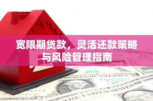 环江宽限期贷款，灵活还款策略与风险管理指南