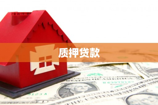 环江质押贷款