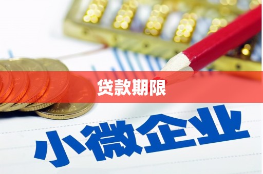 环江贷款期限
