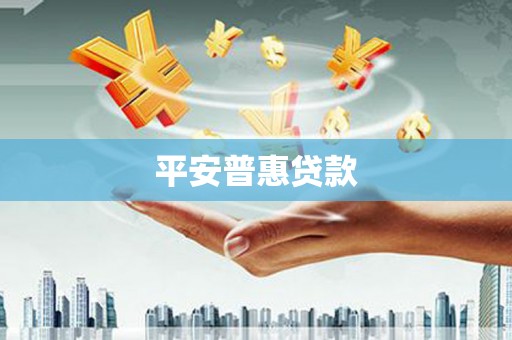 环江平安普惠贷款