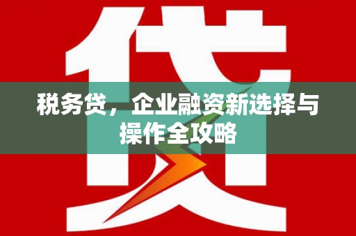 环江税务贷，企业融资新选择与操作全攻略