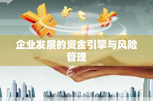 环江企业发展的资金引擎与风险管理