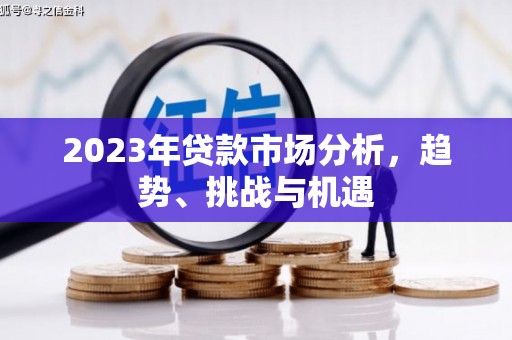 环江2023年贷款市场分析，趋势、挑战与机遇