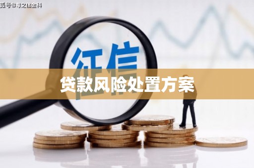 环江贷款风险处置方案