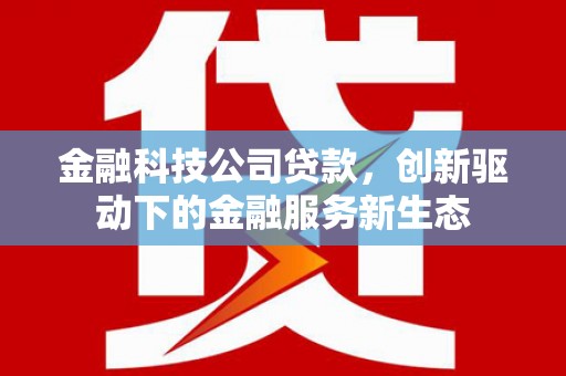 环江金融科技公司贷款，创新驱动下的金融服务新生态