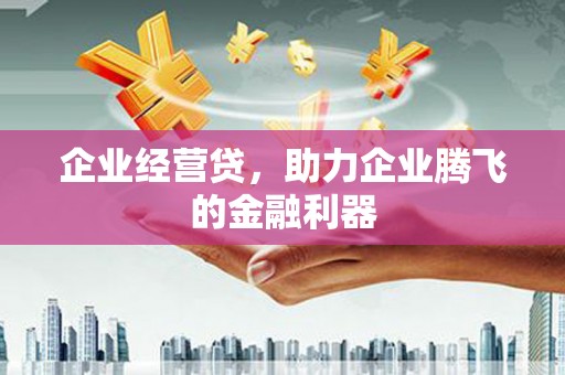 环江企业经营贷，助力企业腾飞的金融利器