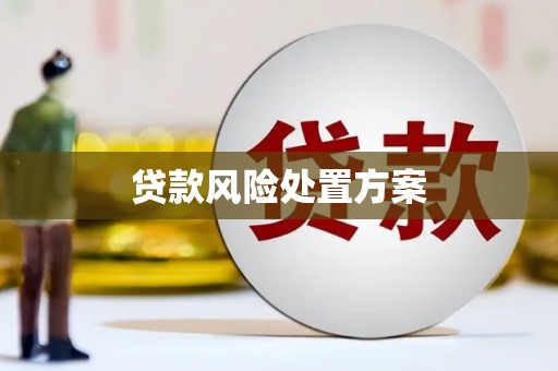 环江贷款风险处置方案
