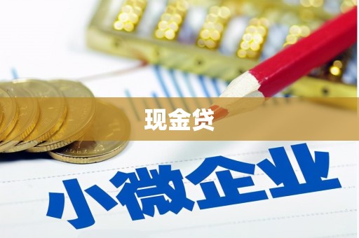 环江现金贷