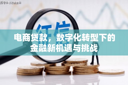 环江电商贷款，数字化转型下的金融新机遇与挑战