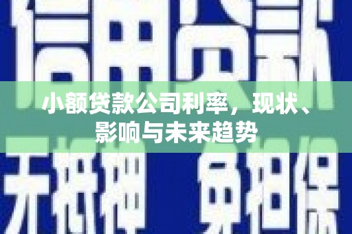 环江小额贷款公司利率，现状、影响与未来趋势