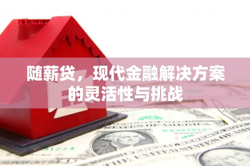 环江随薪贷，现代金融解决方案的灵活性与挑战