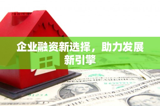 环江企业融资新选择，助力发展新引擎