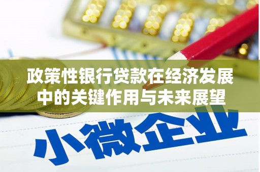 环江政策性银行贷款在经济发展中的关键作用与未来展望