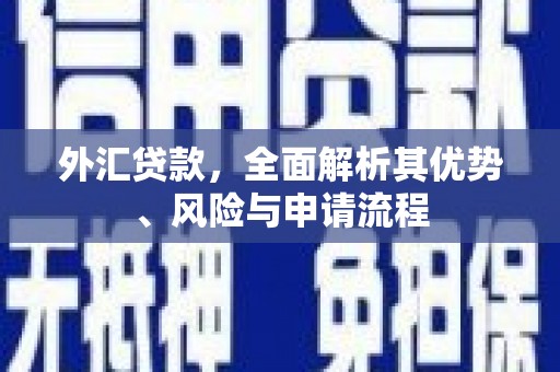 环江外汇贷款，全面解析其优势、风险与申请流程