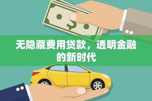 环江无隐藏费用贷款，透明金融的新时代