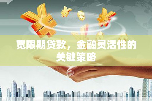环江宽限期贷款，金融灵活性的关键策略