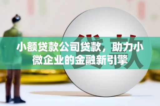 环江小额贷款公司贷款，助力小微企业的金融新引擎