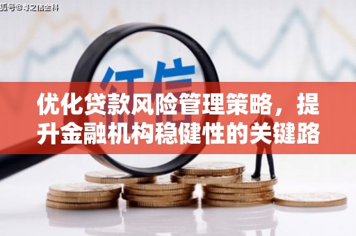 环江优化贷款风险管理策略，提升金融机构稳健性的关键路径