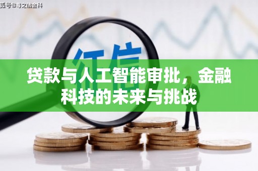 环江贷款与人工智能审批，金融科技的未来与挑战