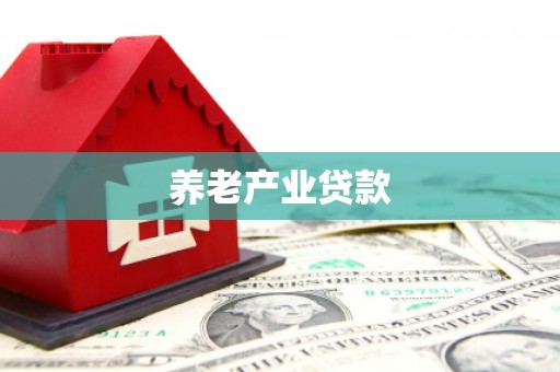 环江养老产业贷款