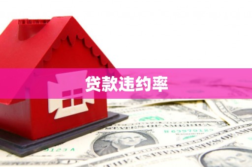 环江贷款违约率