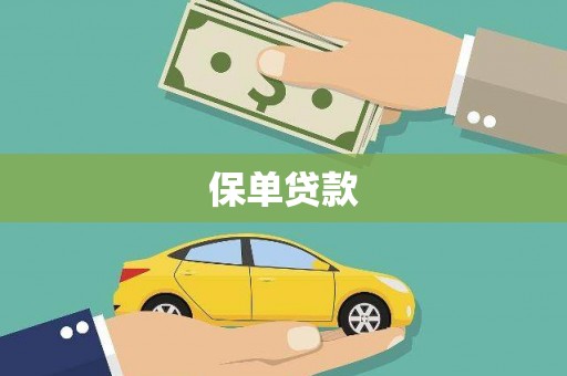 环江保单贷款