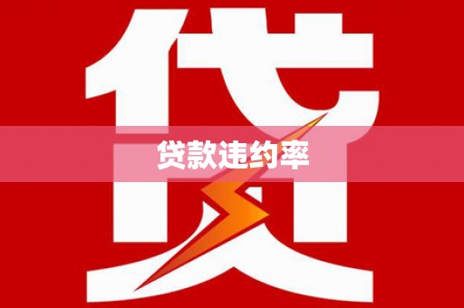 环江贷款违约率