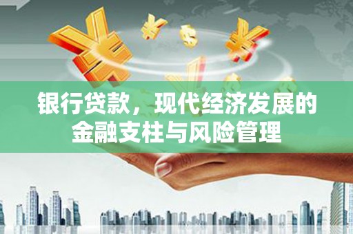 环江银行贷款，现代经济发展的金融支柱与风险管理