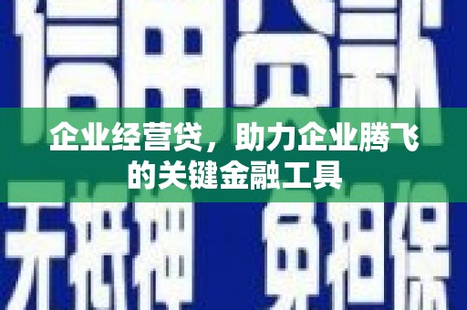 环江企业经营贷，助力企业腾飞的关键金融工具