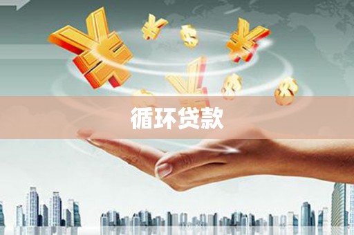 环江循环贷款