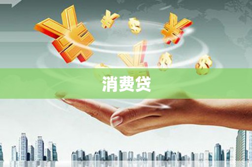 环江消费贷
