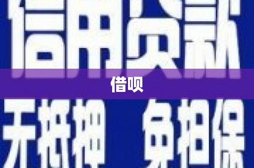 环江借呗