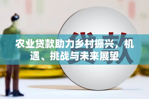 环江农业贷款助力乡村振兴，机遇、挑战与未来展望